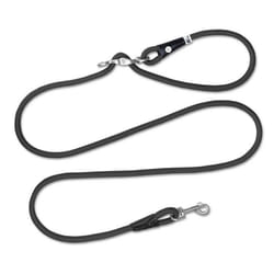 Curli Vario Comfort 2 m Noir Chien Laisse standard