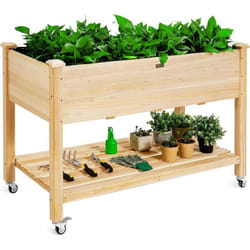 Costway - Jardinière Surélevée en Bois Mobile avec Roues Verrouillables, Lit de Jardin avec Étagère de Rangement et Doublure de Protection 4 Trous de