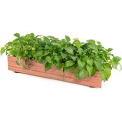 Costway - Jardinière Rectangulaire en Bois de Sapin, Lit de Jardin Surélevé Imperméable pour Culture Fruits Légumes, pour Jardin Patio Balcon, 90 x