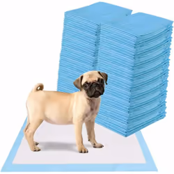 Description générale Les tapis de propreté offrent à votre animal un confort certain tout en facilitant la vie quotidienne. C ...
