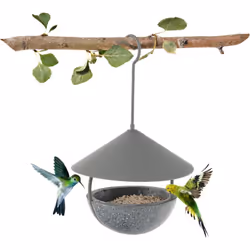 Caractéristiques: Peut être utilisé comme mangeoire d'oiseaux sauvages ou bain d'oiseau Le cadre en métal enduit de poudre es ...