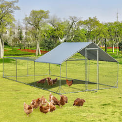 Costway - Poulailler en Acier Galvanisé 18㎡-6 x 3 x 1,95 m, Grand Enclos Poule avec Porte Verrou, Abri Étanche, Résistant au Soleil, Toit Pointu