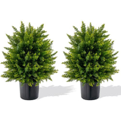 Arbres Artificiels de Boule Topiaire Cèdre de 55 cm, Lot de 2 Plantes Artificielles en Pot avec Base en Ciment Résistant aux uv, Fausses Plantes