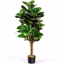 À propos de cet article 【Décoration intérieure et extérieure】Ce figuier artificiel à feuilles de violon est magnifique, avec  ...