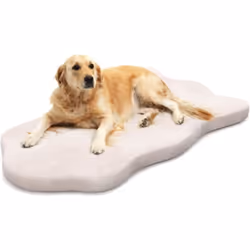 À propos de cet article 【Support en Mousse à Mémoire de Forme :】Fabriqué en mousse à mémoire de forme haute densité, le lit p ...