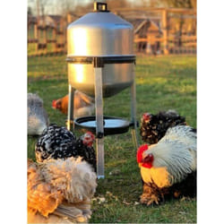 Hobbytech - Abreuvoir Poules en tôle zinguée avec réservoir de 25 litres, Facile à remplir, déranger et Nettoyer