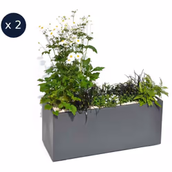 Jardinière rectangulaire en plastique Volcania grande dimension EDA Sur la terrasse ou autour de la piscine, cette jardinière ...