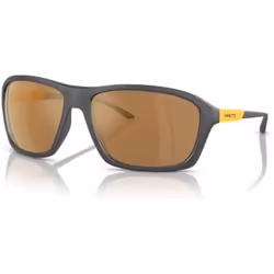 Lunettes de soleil Arnette AN4329-28702T
