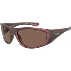 Lunettes de soleil Arnette AN4331-292773