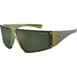 Lunettes de soleil Arnette AN4332-29196R