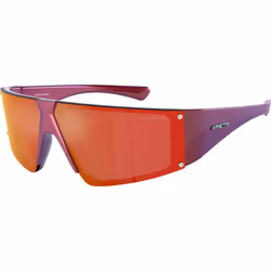 Lunettes de soleil Arnette AN4332-29206Q