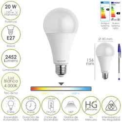 Maurer 19073110 ampoule LED 20 W E27