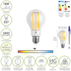 Maurer 19073021 ampoule LED 18 W E27