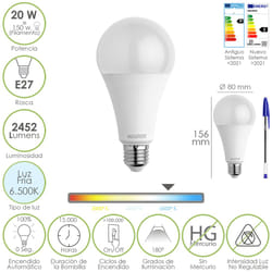 Maurer 19073111 ampoule LED 20 W E27