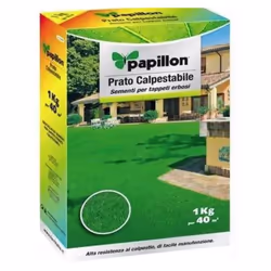 Semillas Cesped Alta Resistencia - Medida: 1 Kg. - Valido para hasta 40 m2. - Césped transitable: Mezcla preparada con hierba ...