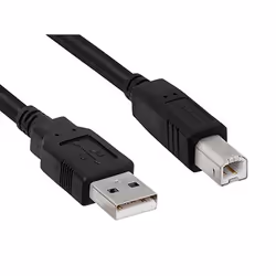 Hamlet XCU2AM-BM30 câble USB USB 2.0 3 m USB A USB B Noir