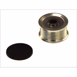 Poulie roue libre, alternateur MAGNETI MARELLI 940113010075