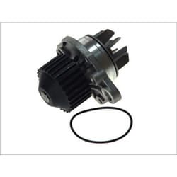 Pompe à eau MAGNETI MARELLI 352316170921
