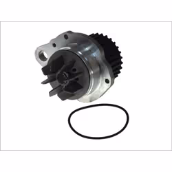 Pompe à eau MAGNETI MARELLI 352316170921