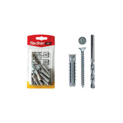 Ancrage w100sx10k avec vis tsp et pointe pour mur taille 10 pièces 4 + 4 fischer.