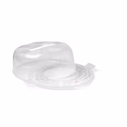 Snips 000583 boîte de rangement pour gâteau Rond Plastique Transparent, Blanc
