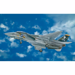 Italeri F - 14 A Tomcat, Kit de montage, 1:48, F-14, Avion militaire, Gris, États-Unis d'Amérique