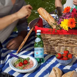 Sanpellegrino 8002270116544 Eau gazeuse 500 ml