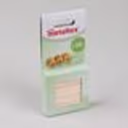 METALTEX - Cure dents bois boîte dist.300 577002