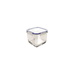 Borgonovo 0033541 boîte hermétique alimentaire Carré 0,83 L Bleu, Transparent 1 pièce(s)