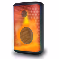 New Majestic FLAME 22 PRO Noir 30 W