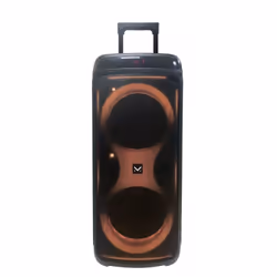 New Majestic FLAME T88 Noir 60 W