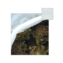 Papillon 53943 film de protection des plantes Polypropylène (PP) 17 g/m²