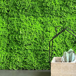 Haie artificielle Muscus 1 x 1 m Vertpanneau modulaire pour jardin vertical TENAX