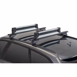 Menabo 000111600000 toit et porte-bagage de toit de véhicule Support pour matériel de sports d'hiver Noir, Argent