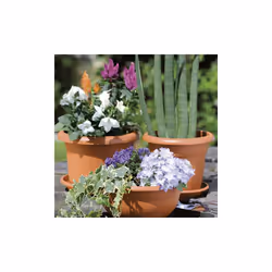Stefanplast 001016663 non classé - Vue supplémentaire 3