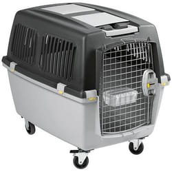 Kerbl 84585 Cage de transport pour animaux de compagnie Caisse de transport avion pour animaux de compagnie