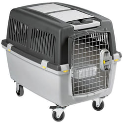 Kerbl 84584 Cage de transport pour animaux de compagnie Caisse de transport avion pour animaux de compagnie