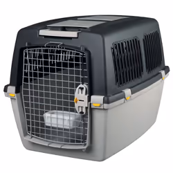 TRIXIE 39872, Caisse de transport rigide pour animaux de compagnie, Caisse de transport pour animaux de compagnie, Chien, 25 ...