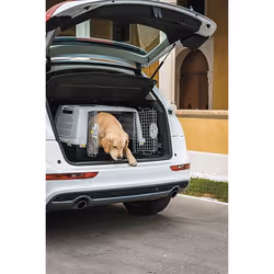 Kerbl 81340 Cage de transport pour animaux de compagnie Caisse de transport voiture