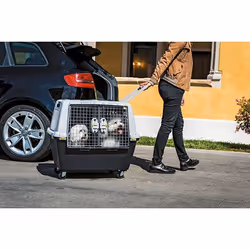 Kerbl 81340 Cage de transport pour animaux de compagnie Caisse de transport voiture - Vue supplémentaire 6
