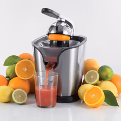 Ariete ProJuice presse-agrume électrique 160 W Acier inoxydable