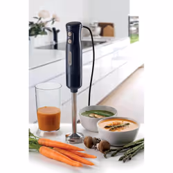 Ariete 00C060100AR0 blender 0,6 L Mélangeur par immersion 700 W Gris