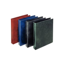 Esselte 390553050 classeur à anneaux A4 Bleu