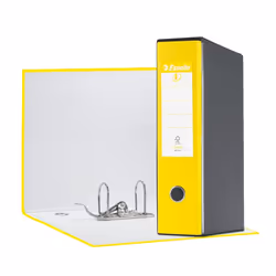 Esselte EUROFILE, Carton, Jaune, 8 cm, 230 mm, 300 mm, 6 pièce(s)