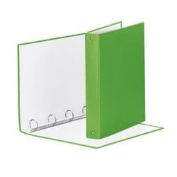 Esselte 395792940 Boîte à archives Plastique Vert