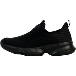 Basket à Lacets Sneakers Scholl Camden