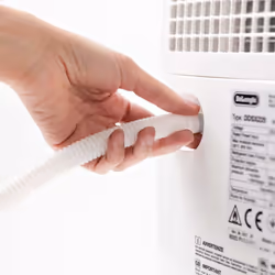 De'Longhi DDSX220 5 L 44 dB Blanc - Vue supplémentaire 3