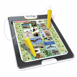 Clementoni Science & Jeu fun 8005125167289, 7 an(s), Sonore, Carton, Plastique, Multicolore