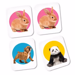 Clementoni 18084 jeu de société Apprentissage