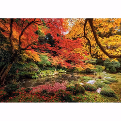 Clementoni High Quality Collection Autumn Park Jeu de puzzle 1500 pièce(s) Paysage